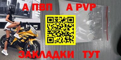 шишки Изобильный