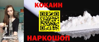 шишки Изобильный