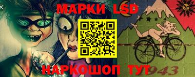 шишки Изобильный