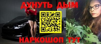 шишки Изобильный