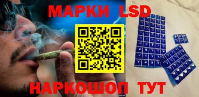 шишки Изобильный