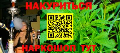 шишки Изобильный