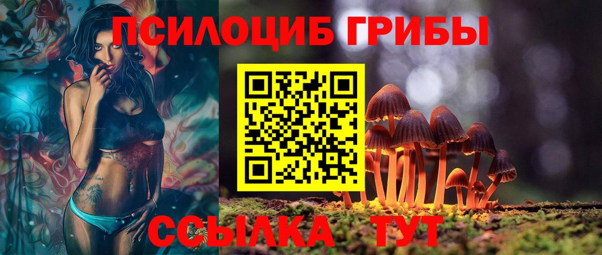 Псилоцибиновые грибы Psilocybine cubensis  Вход с VPN  Трёхгорный 