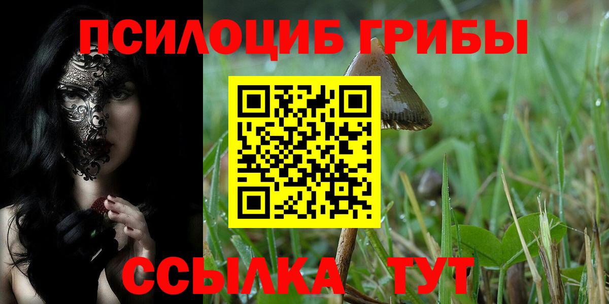 Галлюциногенные грибы MAGIC MUSHROOMS Трёхгорный